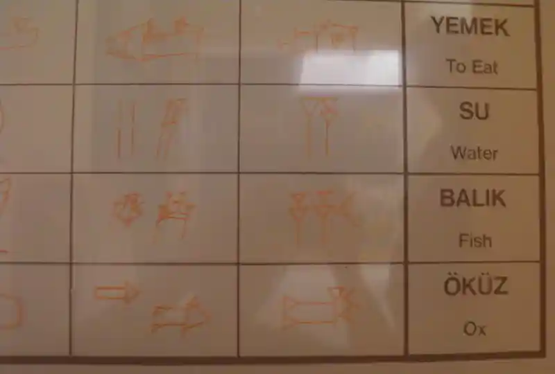 Triangles and lines representing fish